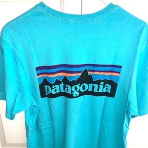 Patagonia Tshirt